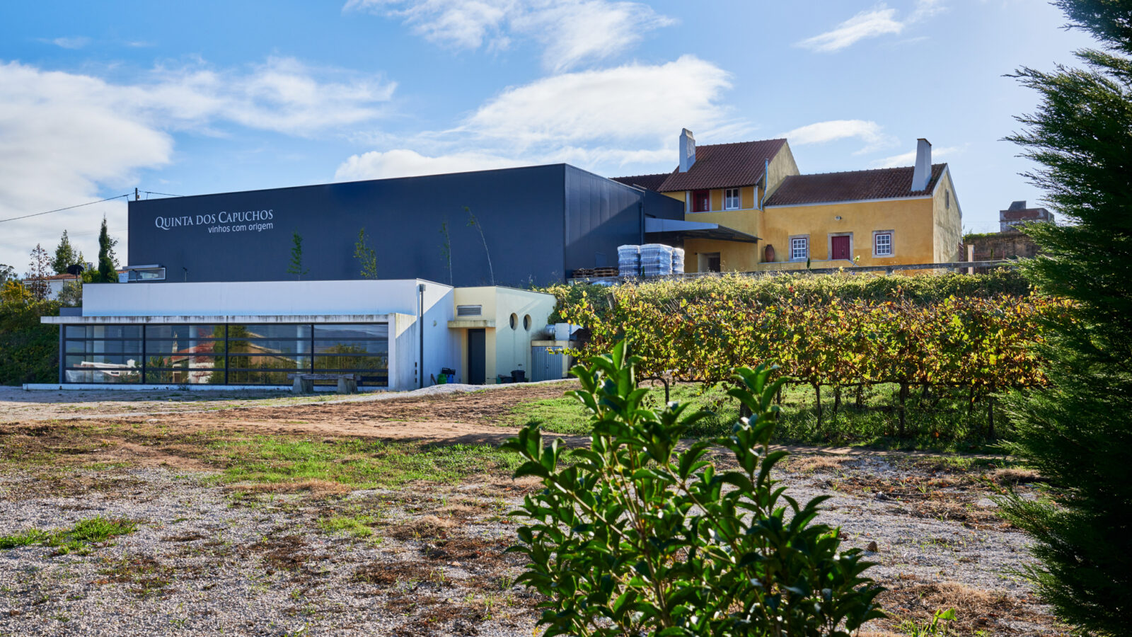 Quinta dos Capuchos